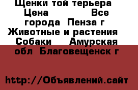 Щенки той терьера › Цена ­ 10 000 - Все города, Пенза г. Животные и растения » Собаки   . Амурская обл.,Благовещенск г.